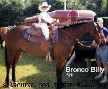 SEARCHING FOR HORSE Bronco Billy, Near BENNETTSVILLE, SC, 00000